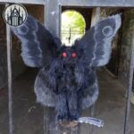 Peluche Gothique Mothman Yeux Rouges — Univers Gothique (vue 4)