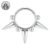 Argent 1