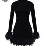 Robe Gothique Velours Plumes Mini