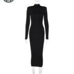 Robe Gothique Longue Col Cheminée