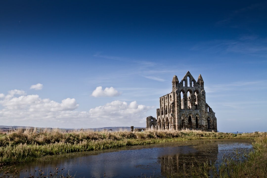 où a été élevé la première cathédrale gothique en france